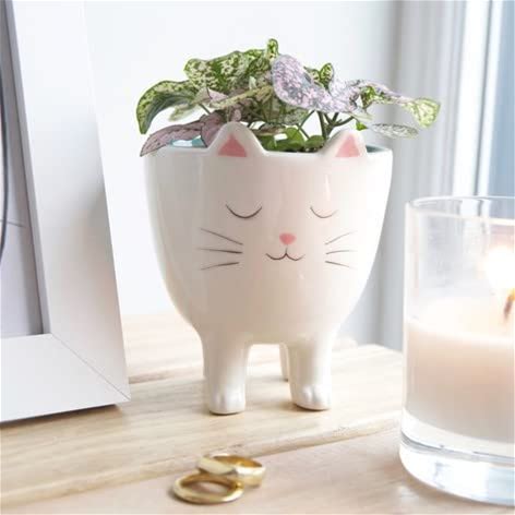 Cat Planter Pot